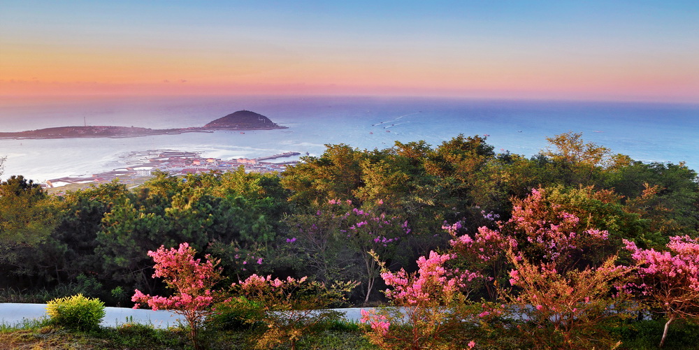 2018中国青岛"醉美西海岸"全国摄影大展入选作品