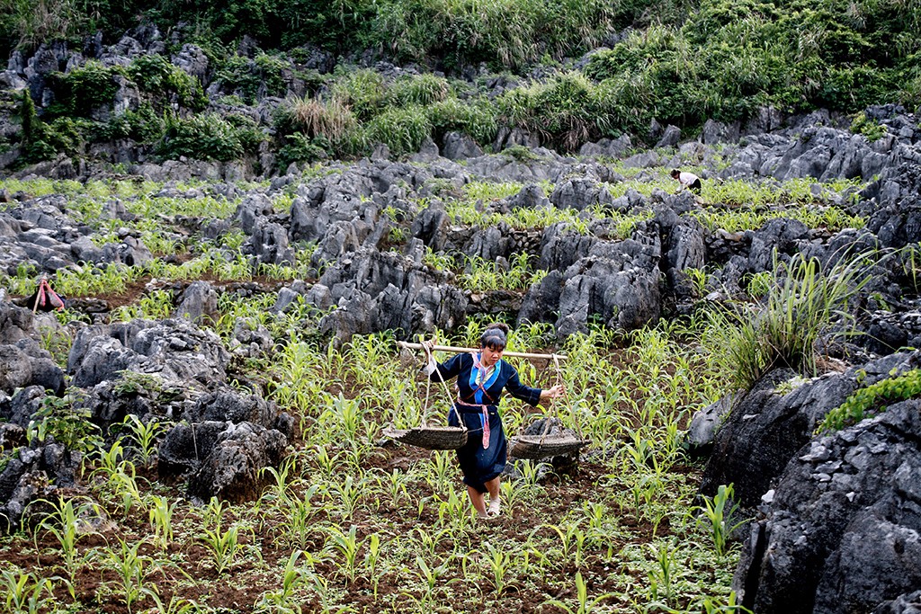 6.石丛中种粮 油岭村 2008.jpg 6.石丛中种粮 油岭村 2008.jpg