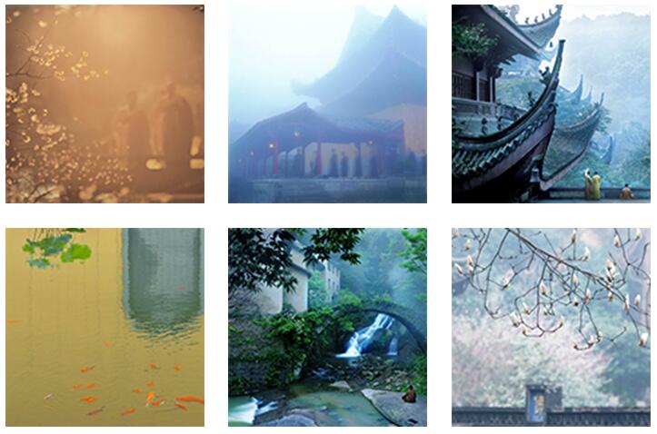TIM截图20200213141922.jpg