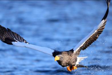 image011.jpg image011.jpg