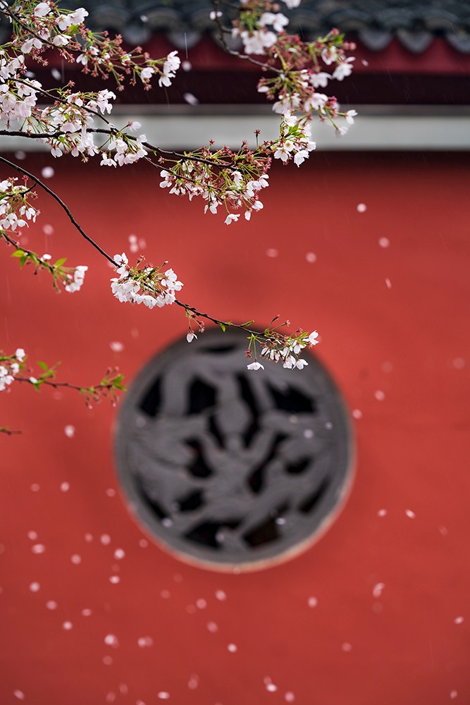 《静听落花声》+韩晓霞+浙江奉化.jpg