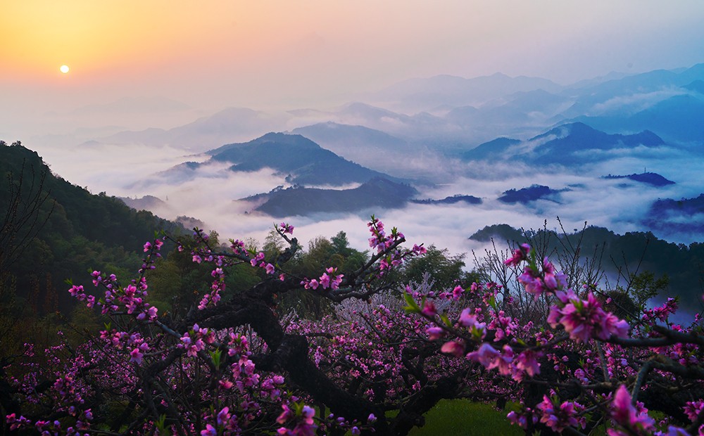 《日出东山》+韩晓霞+浙江奉化.jpg