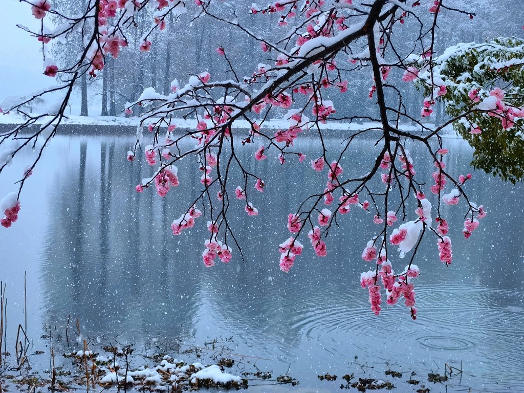 26.安娜+东湖雪+2022年2月7日.jpg