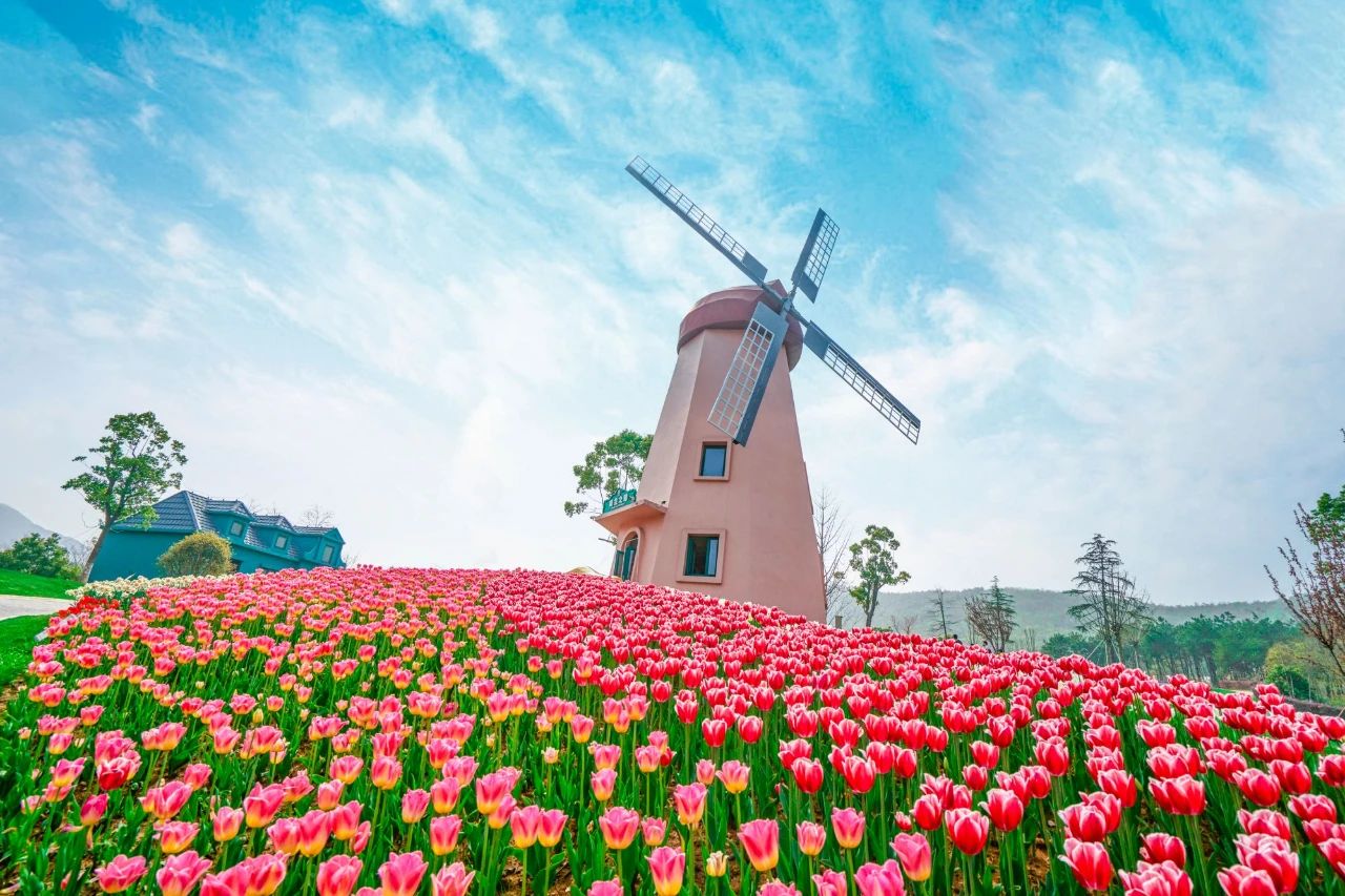 微信图片_20240920101128.jpg 微信图片_20240920101128.jpg