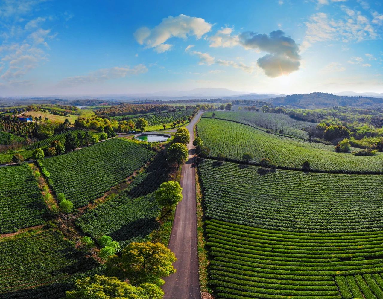 微信图片_20240920101131.jpg 微信图片_20240920101131.jpg