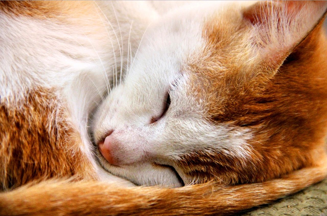 微信图片_20240923113810.jpg 微信图片_20240923113810.jpg