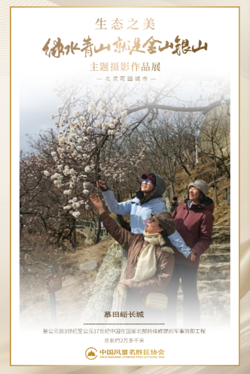 微信图片_2025-08-10_212640_541.png