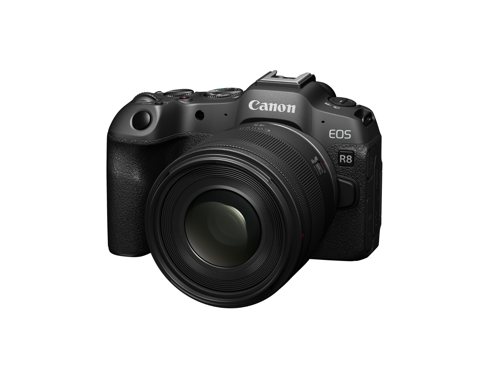 佳能RF45mm F1.2 STM搭配EOS R8.jpg