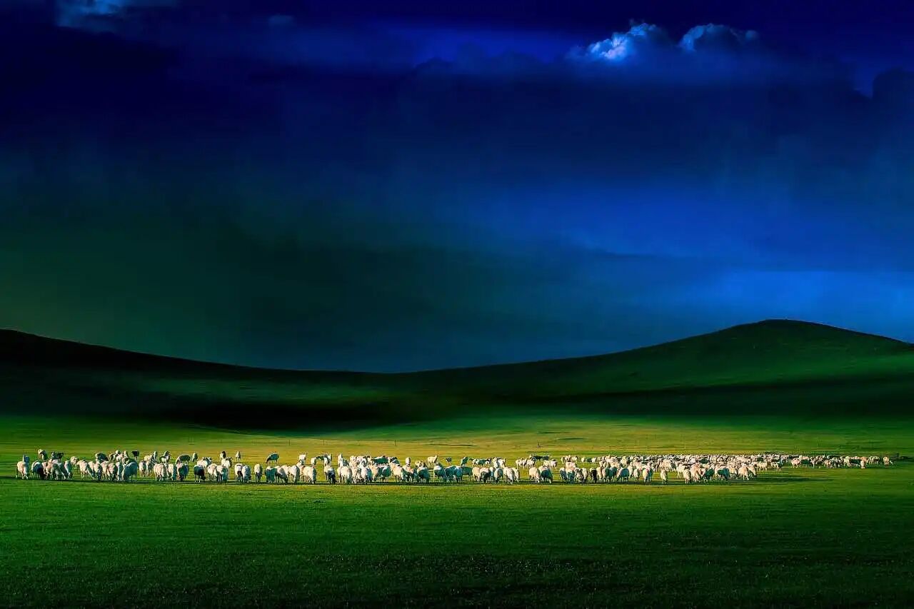 1763606571144236.jpg 微信图片_2025-11-20_103002_421.jpg