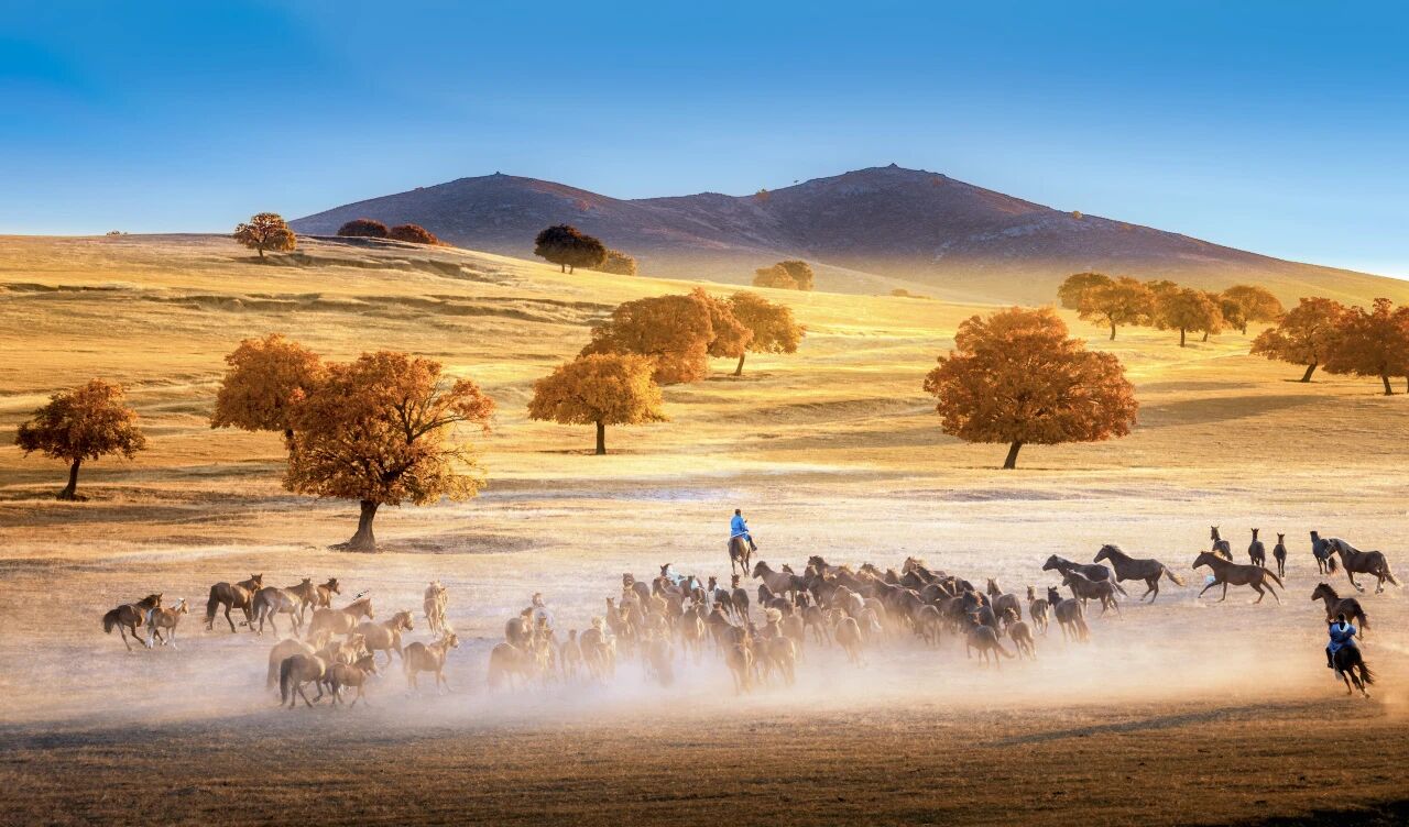 1763606582734820.jpg 微信图片_2025-11-20_103008_673.jpg