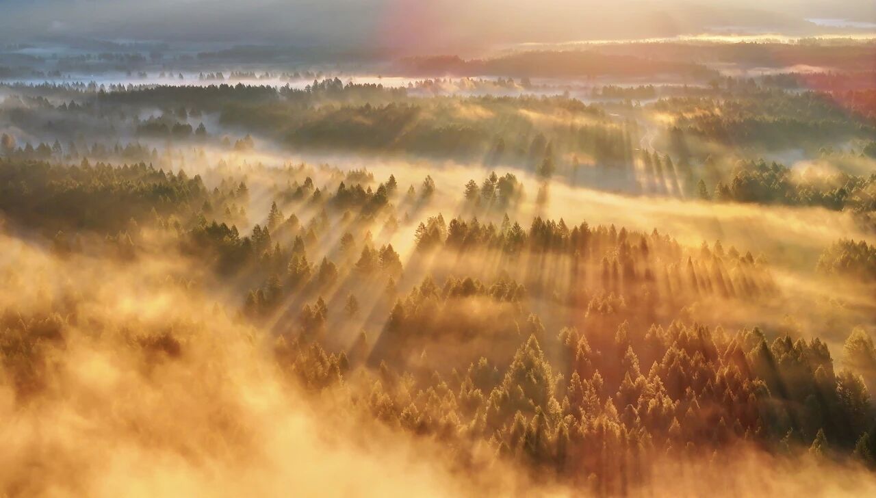 1763606604423649.jpg 微信图片_2025-11-20_103016_873.jpg