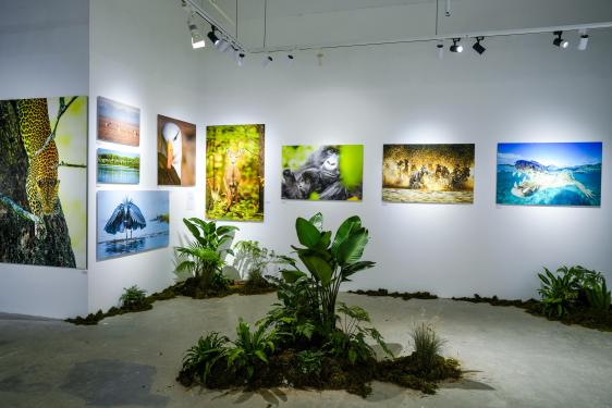 1764559562419373.jpg image025.jpg