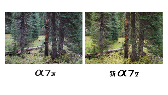 1764820185458201.png ceDj6UbWtkNU.png