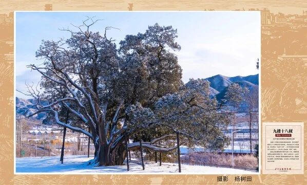 1769866668969925.jpg 微信图片_2026-01-31_213723_224.jpg