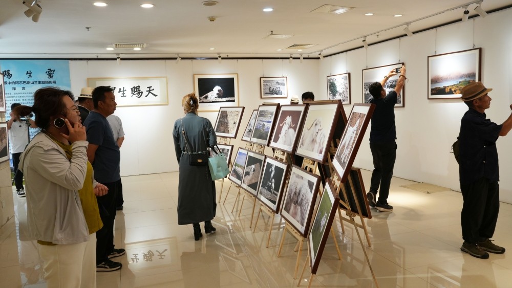 IMG_5870_副本.jpg